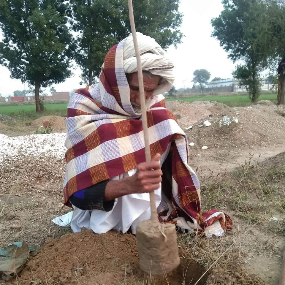 Green Seekers Activity